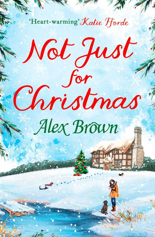 Cover of the book Not Just for Christmas by Alex Brown, HarperCollins Publishers