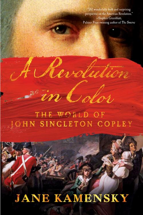 Cover of the book A Revolution in Color: The World of John Singleton Copley by Jane Kamensky, W. W. Norton & Company
