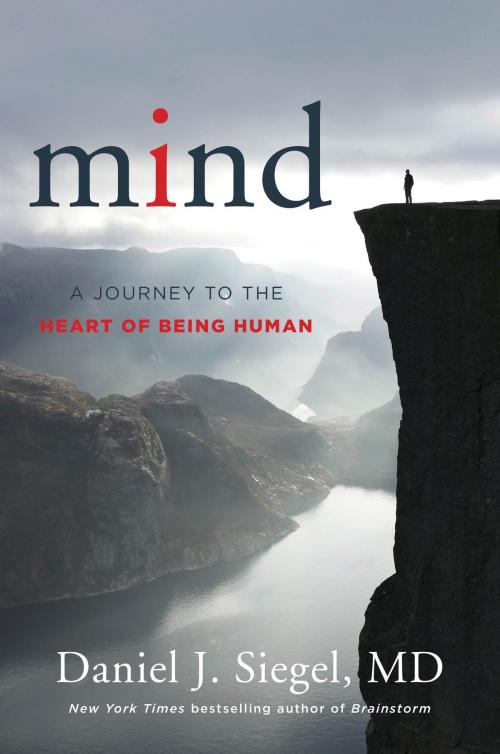 Cover of the book Mind: A Journey to the Heart of Being Human (Norton Series on Interpersonal Neurobiology) by Daniel J. Siegel, M.D., W. W. Norton & Company