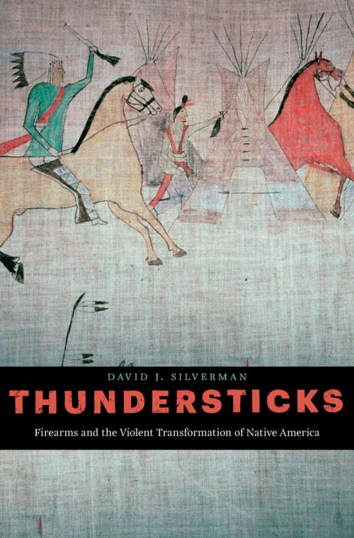 Cover of the book Thundersticks by David J. Silverman, Harvard University Press