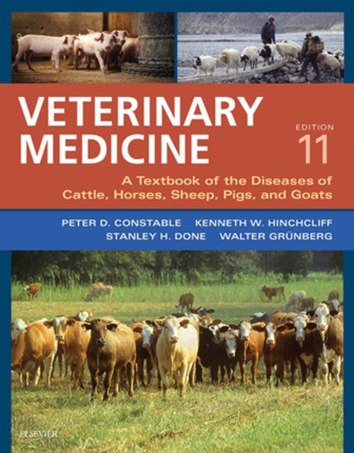 Cover of the book Veterinary Medicine - E-BOOK by Walter Gruenberg, Peter D. Constable, BVSc, MS, PhD, Dipl ACVIM, Kenneth W Hinchcliff, BVSc, MS, PhD, DACVIM (Large Animal), Stanley H. Done, BA, BVetMed, PhD, DECPHM, DECVP, FRCVS, FRCPath, Elsevier Health Sciences