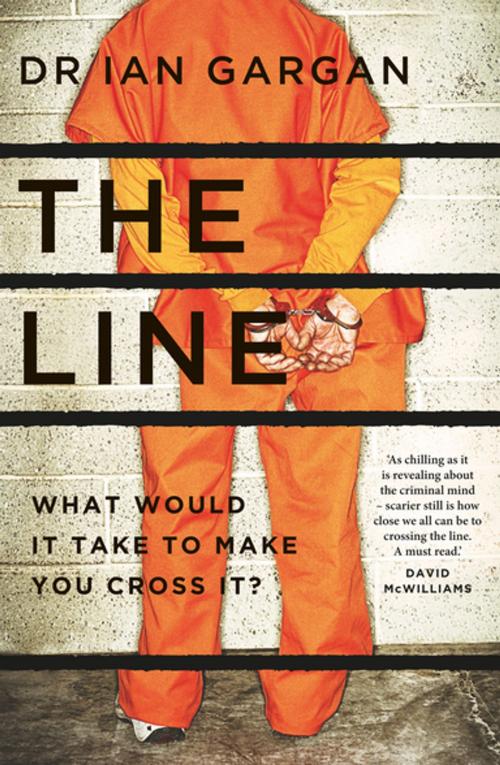 Cover of the book The Line by Dr Ian Gargan, Gill Books