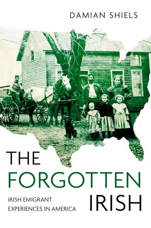 Cover of the book Forgotten Irish by Damian Shiels, The History Press