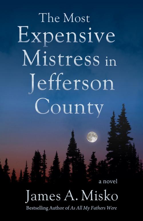 Cover of the book The Most Expensive Mistress in Jefferson County by James A. Misko, Square One Publishers