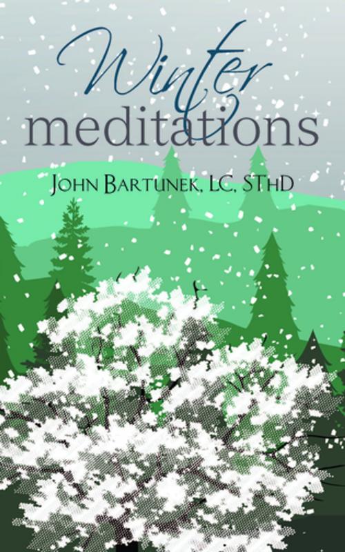 Cover of the book Winter Meditations by Fr. John Bartunek, LC, SThD, Liguori Publications