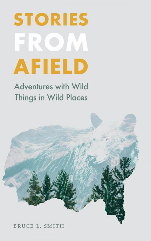 Cover of the book Stories from Afield by Bruce L. Smith, UNP - Bison Books