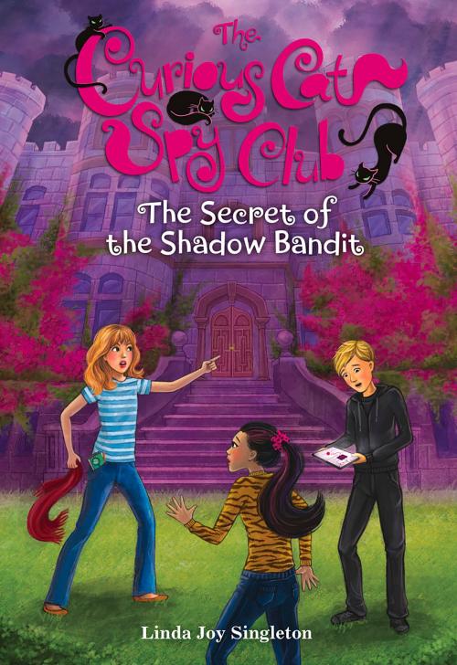 Cover of the book The Secret of the Shadow Bandit by Linda Joy Singleton, Albert Whitman & Company