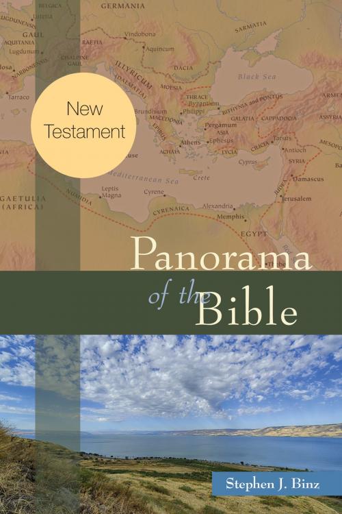 Cover of the book Panorama of the Bible by Stephen J. Binz, Liturgical Press