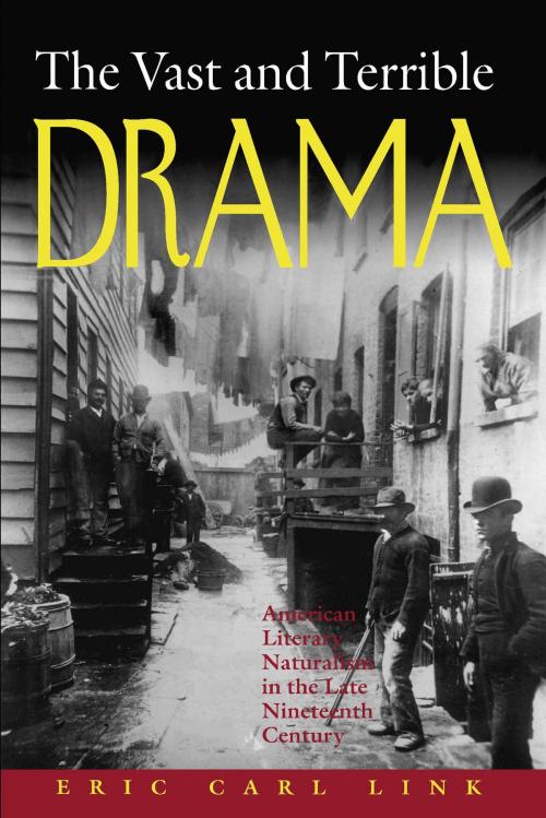 Cover of the book The Vast and Terrible Drama by Eric Carl Link, University of Alabama Press