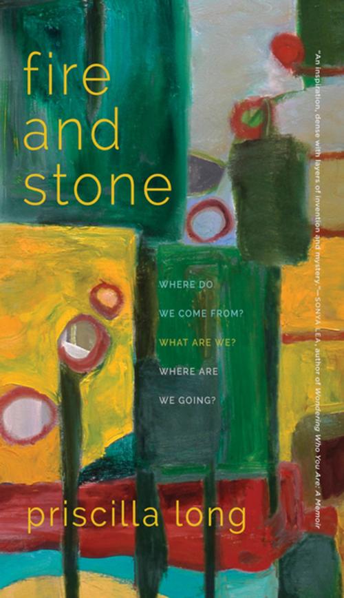 Cover of the book Fire and Stone by Priscilla Long, John Griswold, University of Georgia Press