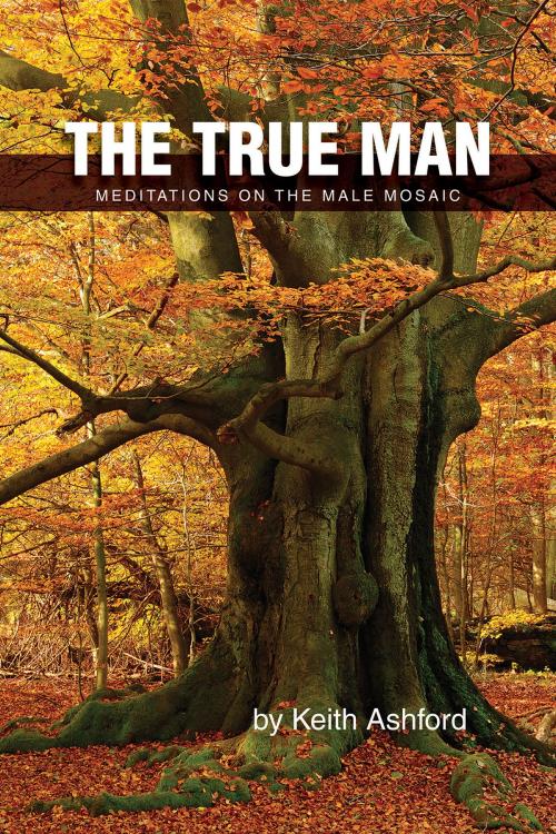 Cover of the book The True Man: Meditations on the Male Mosaic by Keith Ashford, Keith Ashford