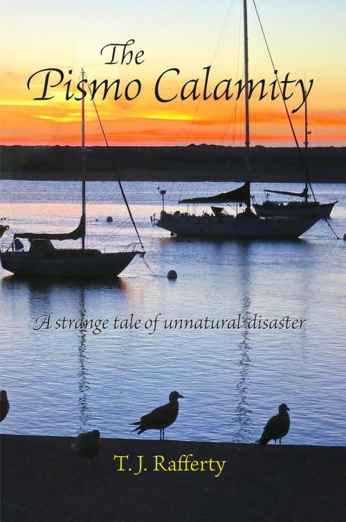Cover of the book The Pismo Calamity by Lawler Brian, T. J. Rafferty, Chowderhead Press
