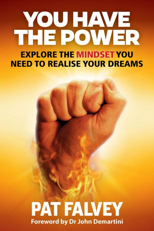 Cover of the book You Have the Power by Pat Falvey, BookBaby