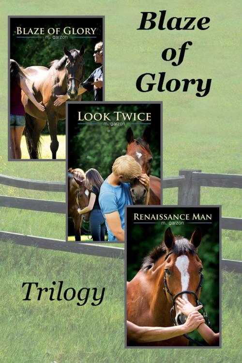 Cover of the book Blaze of Glory trilogy boxset by M. Garzon, Petal Press