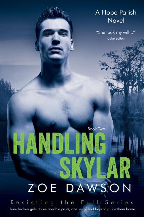 Cover of the book Handling Skylar by Zoe Dawson, Blue Moon Creative, LLC