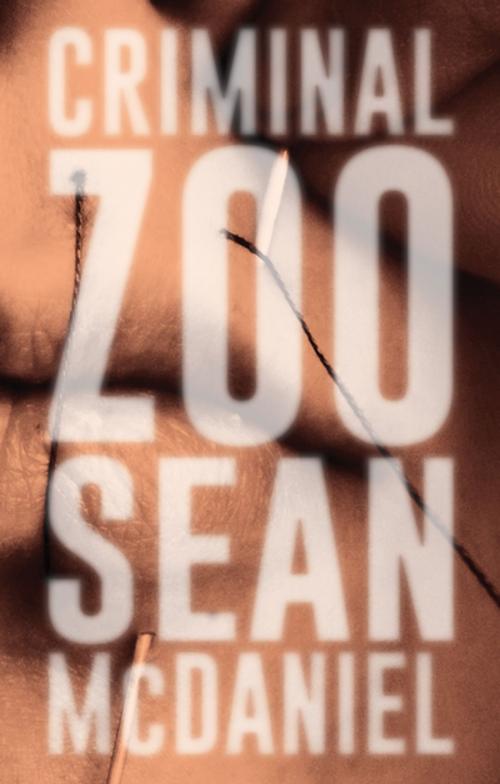 Cover of the book Criminal Zoo by Sean McDaniel, Rare Bird Books
