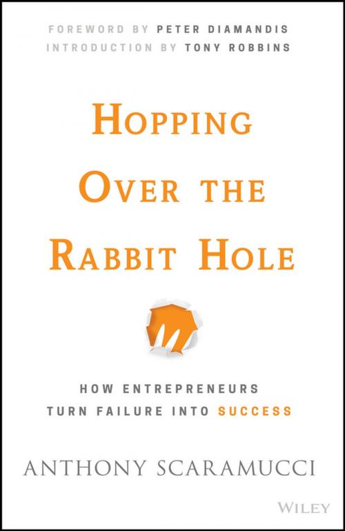 Cover of the book Hopping over the Rabbit Hole by Anthony Scaramucci, Wiley