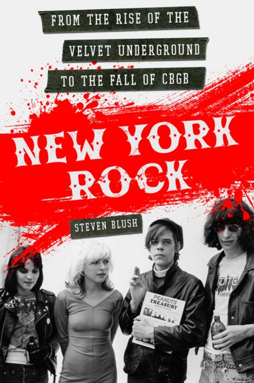 Cover of the book New York Rock by Steven Blush, St. Martin's Press