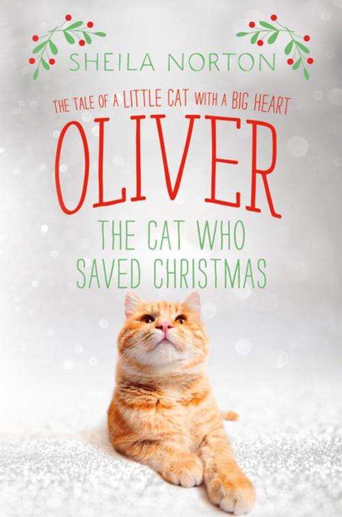 Cover of the book Oliver the Cat Who Saved Christmas by Sheila Norton, St. Martin's Press