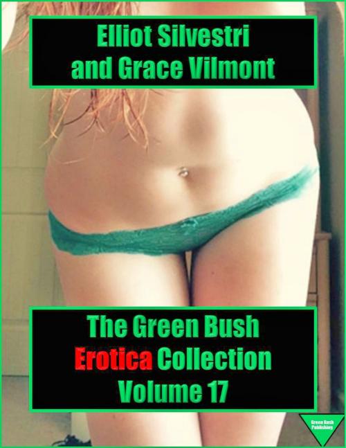 Cover of the book The Green Bush Erotica Collection Volume 17 by Elliot Silvestri, Elliot Silvestri