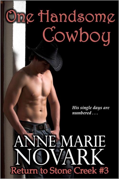 Cover of the book One Handsome Cowboy by Anne Marie Novark, Anne Marie Novark