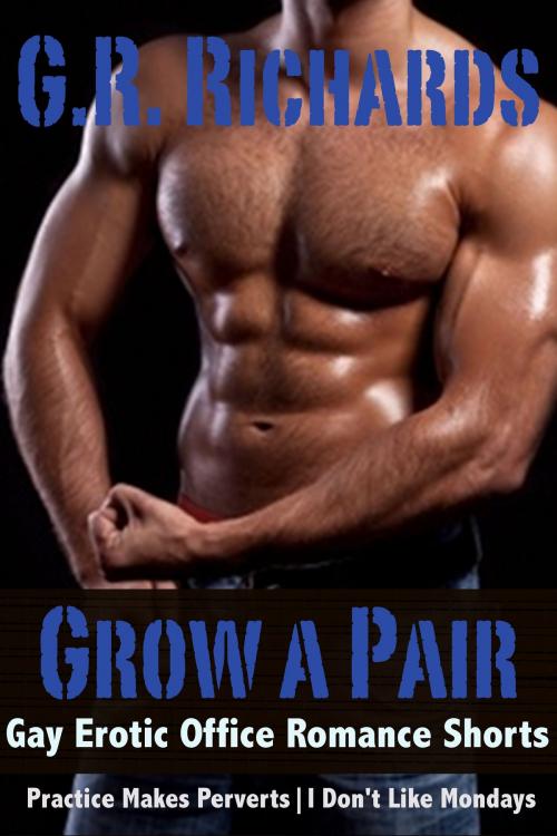 Cover of the book Grow A Pair: Gay Erotic Office Romance Shorts by G.R. Richards, BetweenTwo