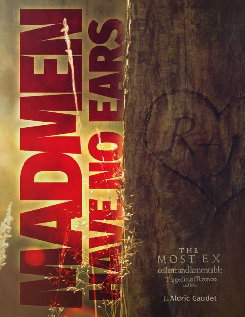 Cover of the book Madmen Have No Ears by J. Aldric Gaudet, Lulu.com