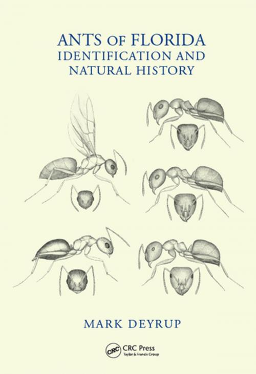 Cover of the book Ants of Florida by Mark Deyrup, CRC Press