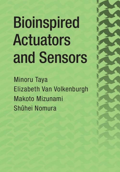 Cover of the book Bioinspired Actuators and Sensors by Minoru Taya, Makoto Mizunami, Shûhei Nomura, Elizabeth Van Volkenburgh, Cambridge University Press