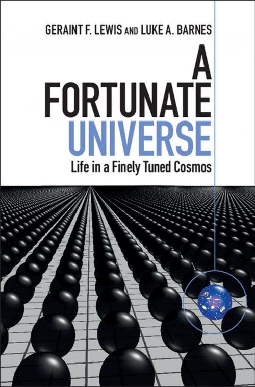Cover of the book A Fortunate Universe by Geraint F. Lewis, Luke A. Barnes, Cambridge University Press