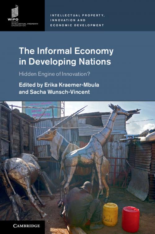 Cover of the book The Informal Economy in Developing Nations by , Cambridge University Press