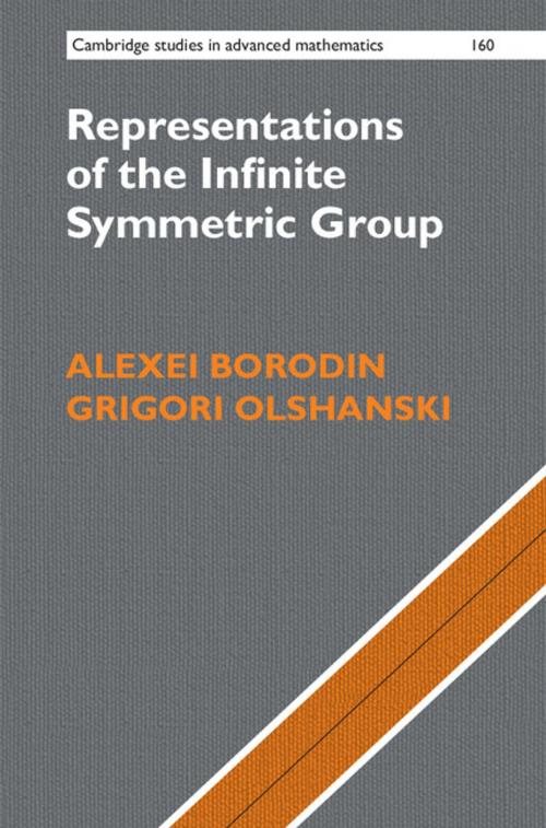 Cover of the book Representations of the Infinite Symmetric Group by Alexei Borodin, Grigori Olshanski, Cambridge University Press
