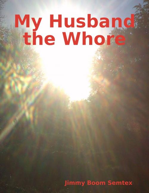 Cover of the book My Husband the Whore by Jimmy Boom Semtex, Lulu.com