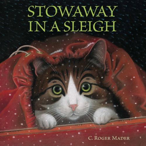 Cover of the book Stowaway in a Sleigh by Roger Mader, HMH Books