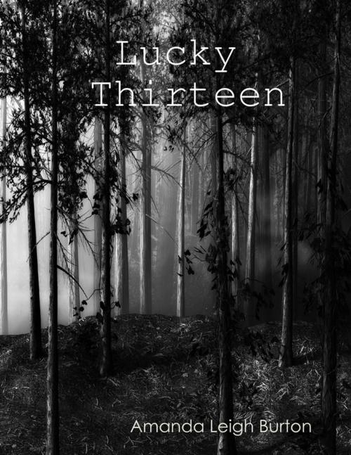Cover of the book Lucky Thirteen by Amanda Leigh Burton, Lulu.com