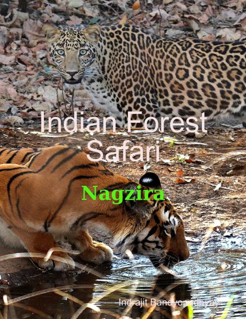 Cover of the book Indian Forest Safari - Nagzira by Indrajit Bandyopadhyay, Lulu.com