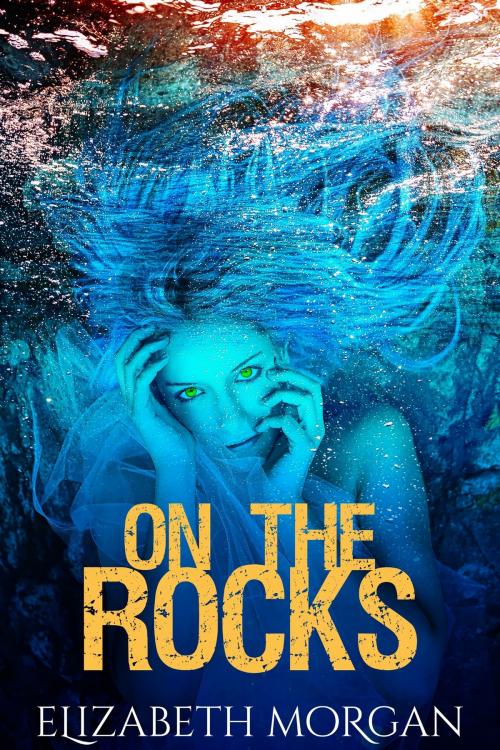 Cover of the book On The Rocks by Elizabeth Morgan, Elizabeth Morgan