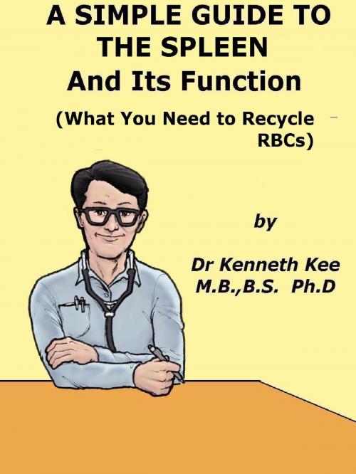 Cover of the book A Simple Guide to The Spleen And Its Function (What You Need To Recycle RBCs) by Kenneth Kee, Kenneth Kee