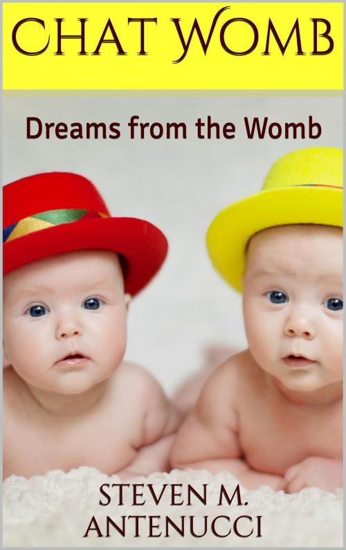 Cover of the book Chat Womb: Dreams from the Womb by Steven M Antenucci, Steven M Antenucci