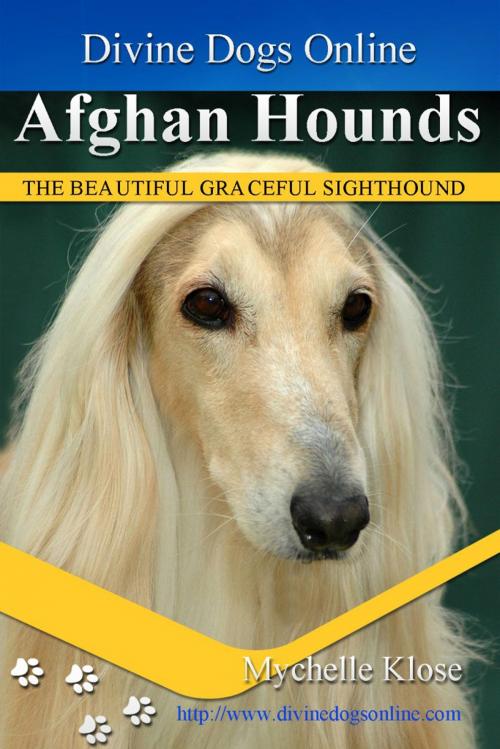 Cover of the book Afghan Hound by Mychelle Klose, Mychelle Klose