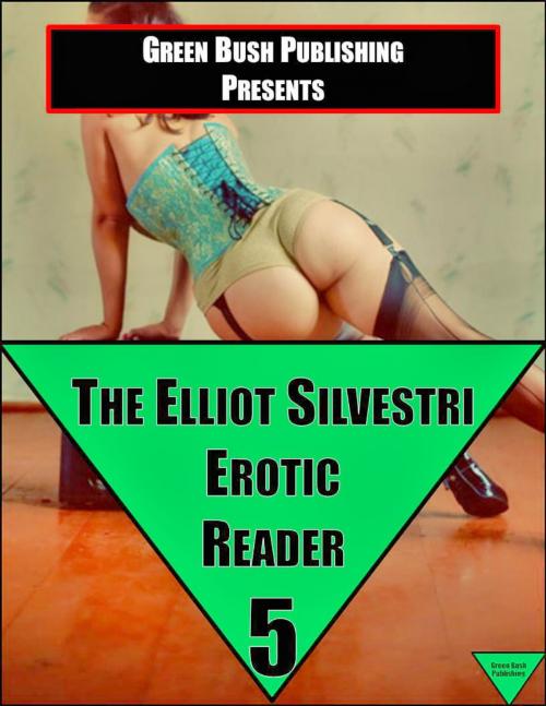 Cover of the book The Elliot Silvestri Erotic Reader Volume 5 by Elliot Silvestri, Elliot Silvestri