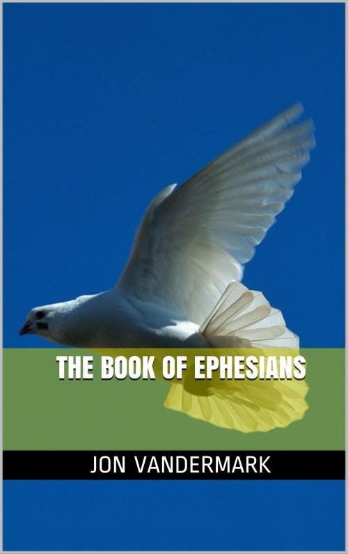 Cover of the book The Book Of Ephesians by Jon Vandermark, Jon Vandermark