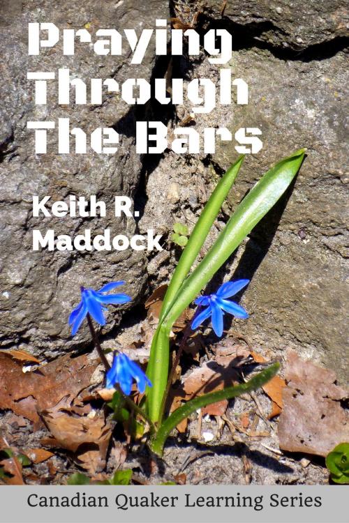 Cover of the book PrayingThrough the Bars: A Pastoral Testimony For Prison Visitors by Keith Robert Maddock, Canadian Quaker Learning Series