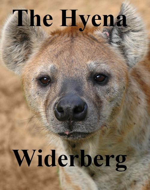 Cover of the book The Hyena by Bo Widerberg, Bo Widerberg