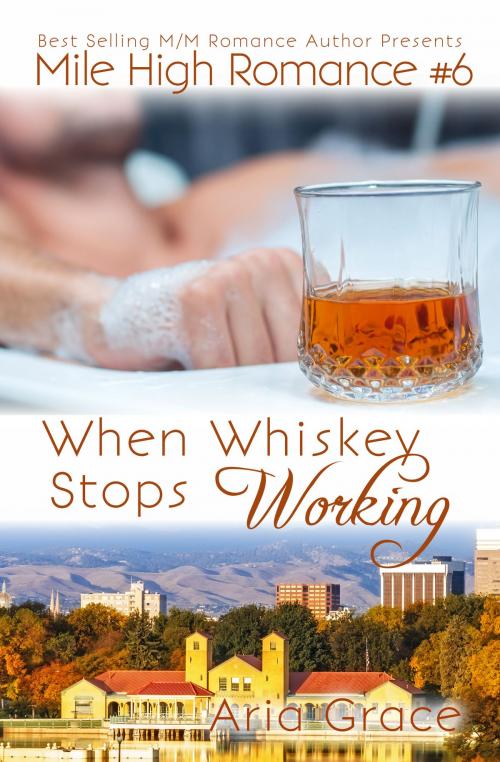 Cover of the book When Whiskey Stops Working by Aria Grace, Aria Grace