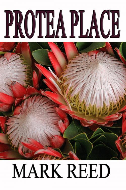 Cover of the book Protea Place by Mark Reed, CUSTOM BOOK PUBLICATIONS