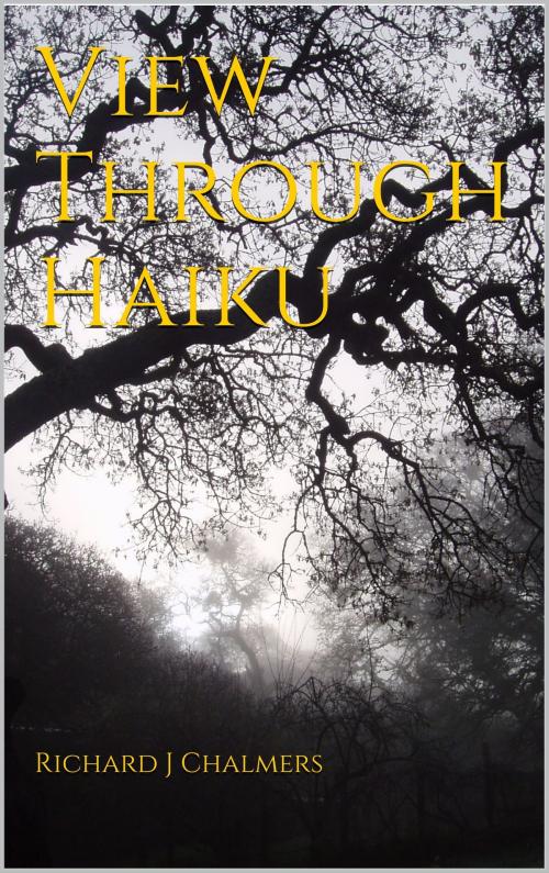 Cover of the book View Through Haiku by Richard J Chalmers, Richard J Chalmers