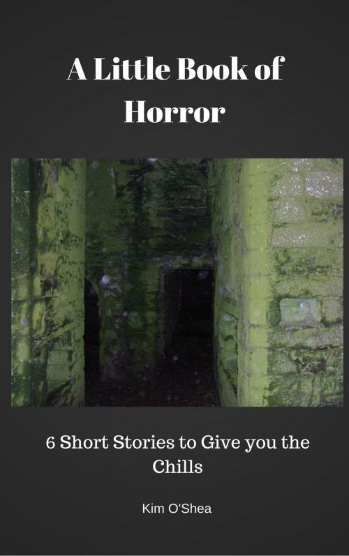 Cover of the book A Little Book of Horror by Kim O'Shea, Kim O'Shea