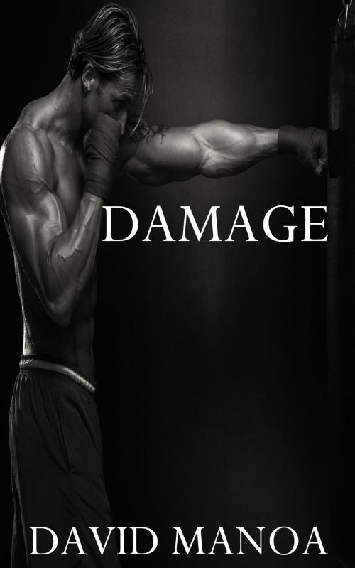 Cover of the book Damage by David Manoa, David Manoa