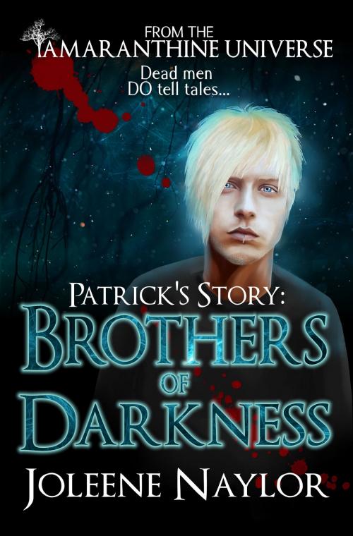Cover of the book Patrick's Story: Brothers of Darkness by Joleene Naylor, Joleene Naylor